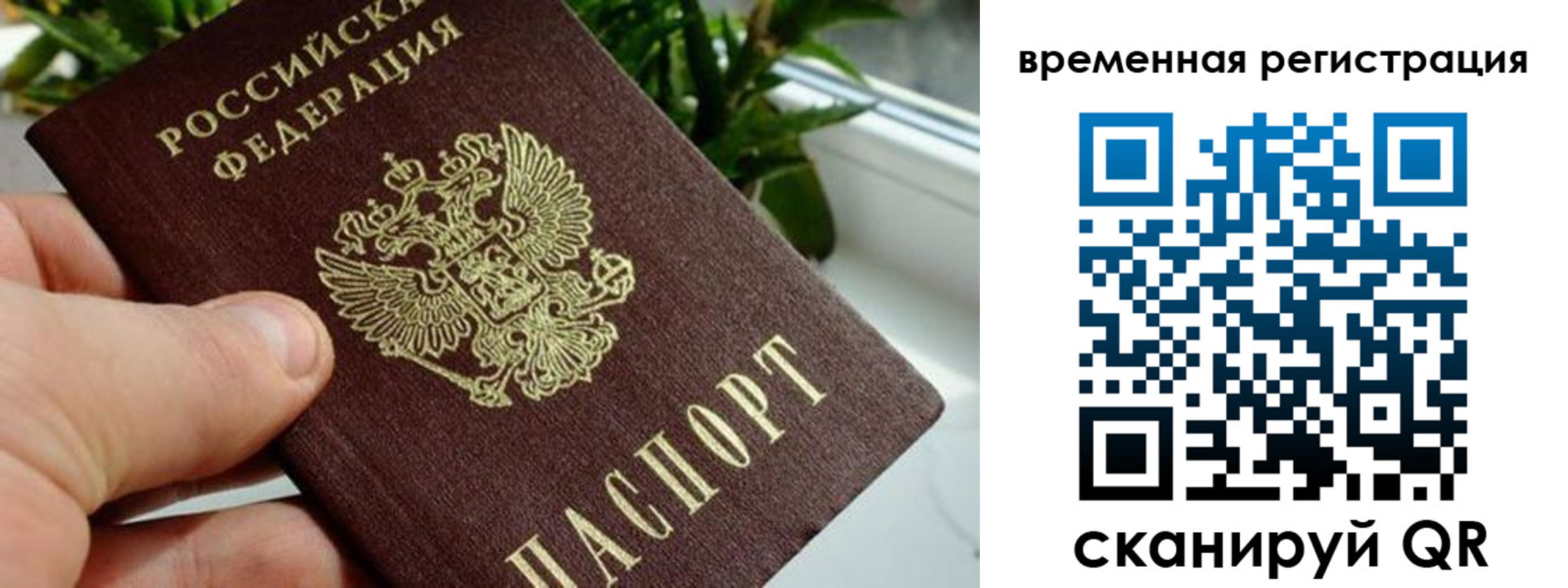 прописка поиск в Железногорске